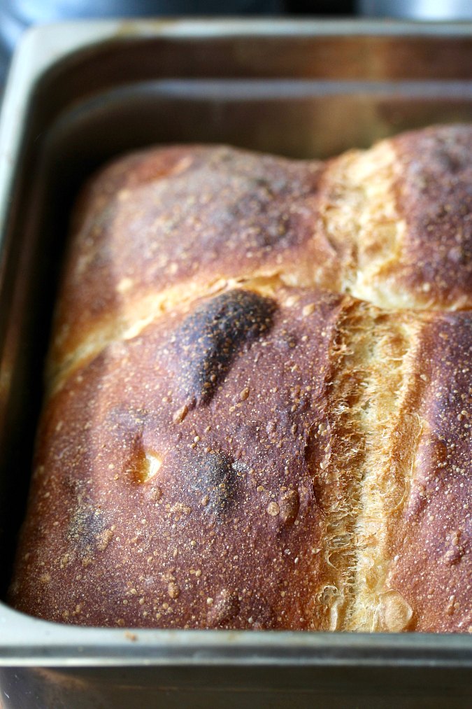 Irish Batch Bread in a hotel pan