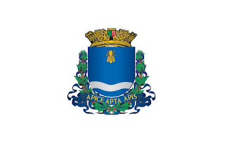 Bandeira de GuaxupÃ© MG