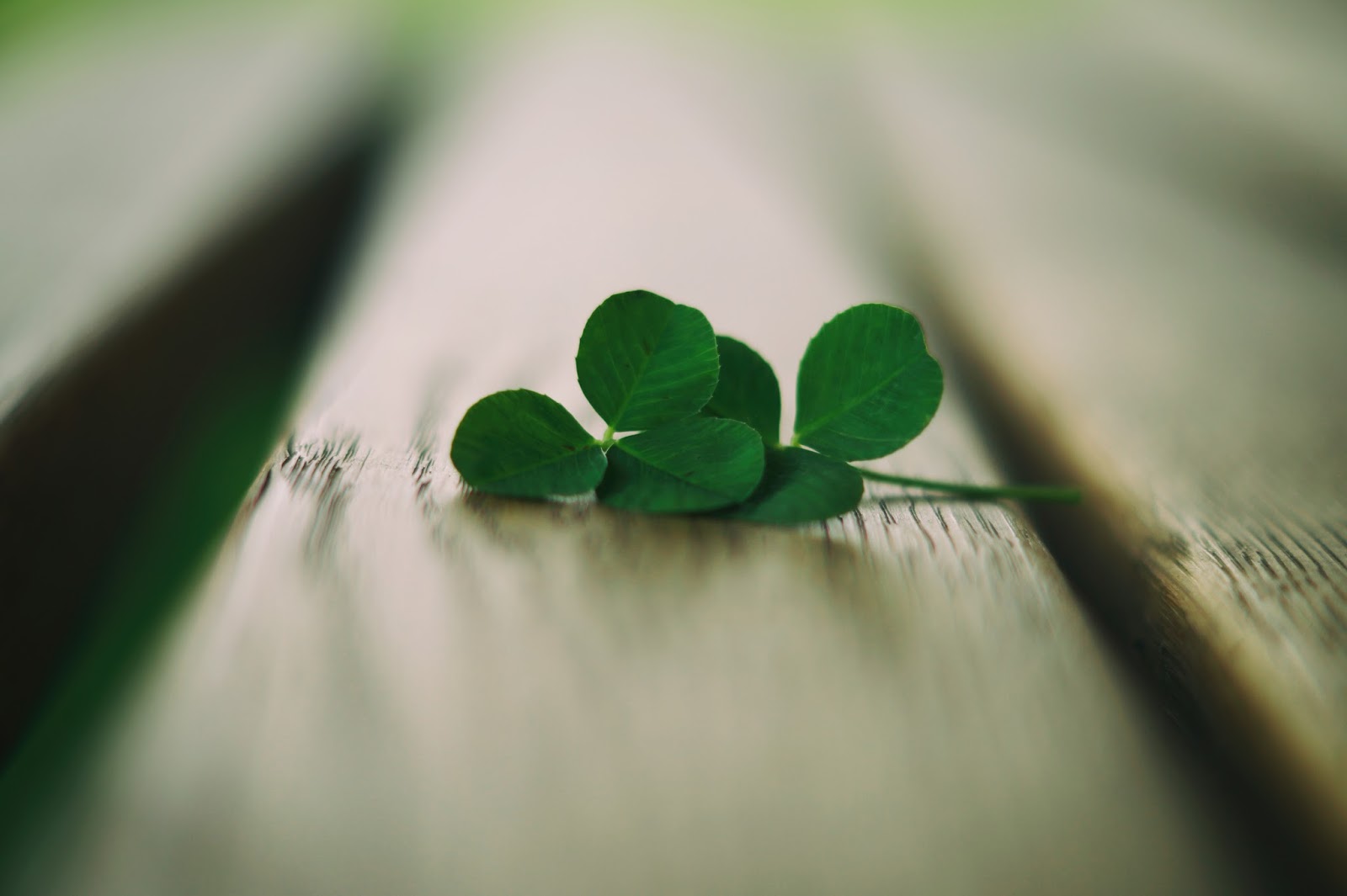 Wo Stille Wohnt Und Glanz Juli 2017