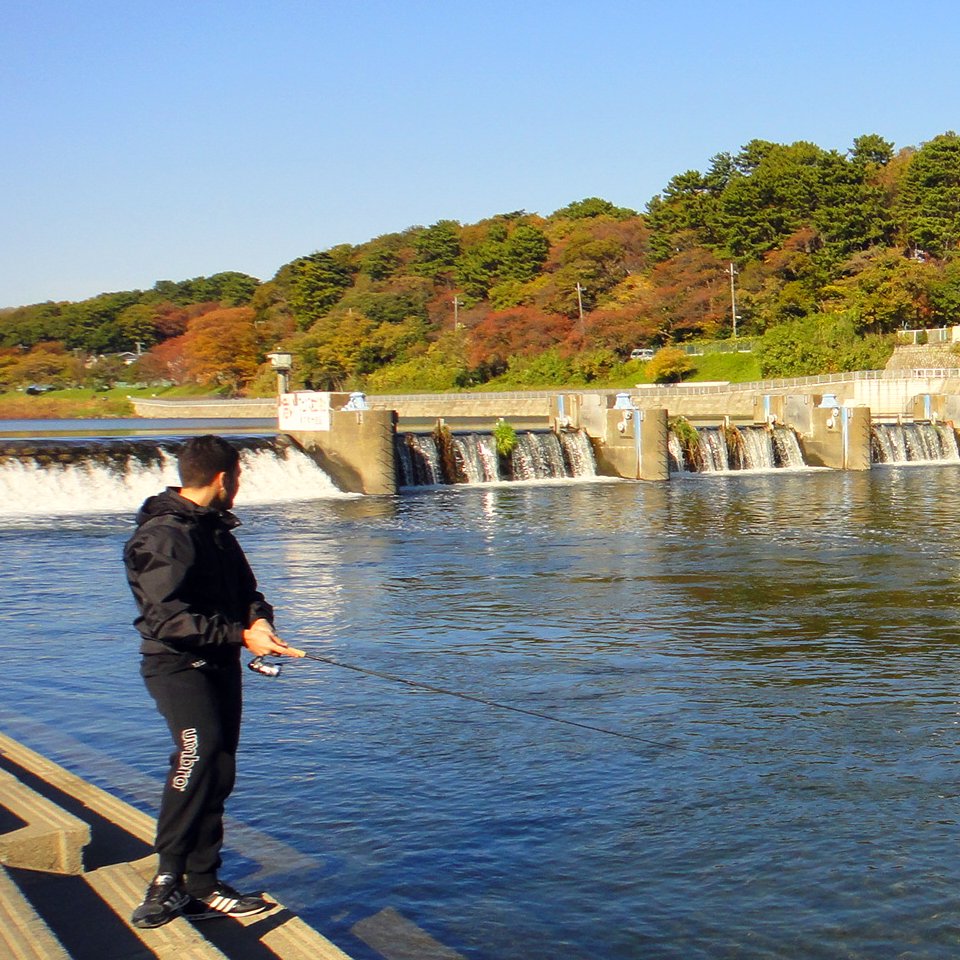 It's Tokyo Style Lure fishing in Tamagawa river, Tokyo.