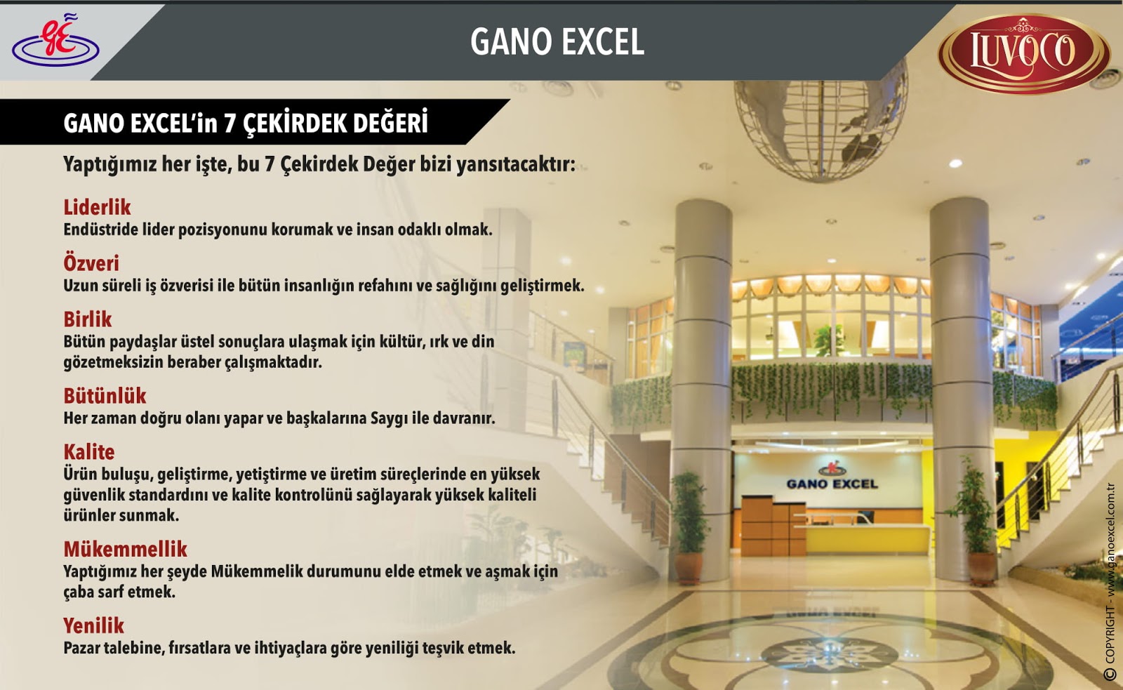 Luvoco Coffee Luvoco Kahve Luvoco Franchise Nedir