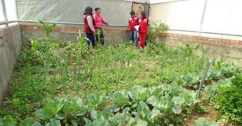 Corresponsabilidad de articulación territorial promovida por Qali Warma permite optimizar el servicio alimentario en Áncash - www.qaliwarma.gob.pe Corresponsabilidad de articulación territorial promovida por Qali Warma permite optimizar el servicio alimentario en Áncash - www.qaliwarma.gob.pe