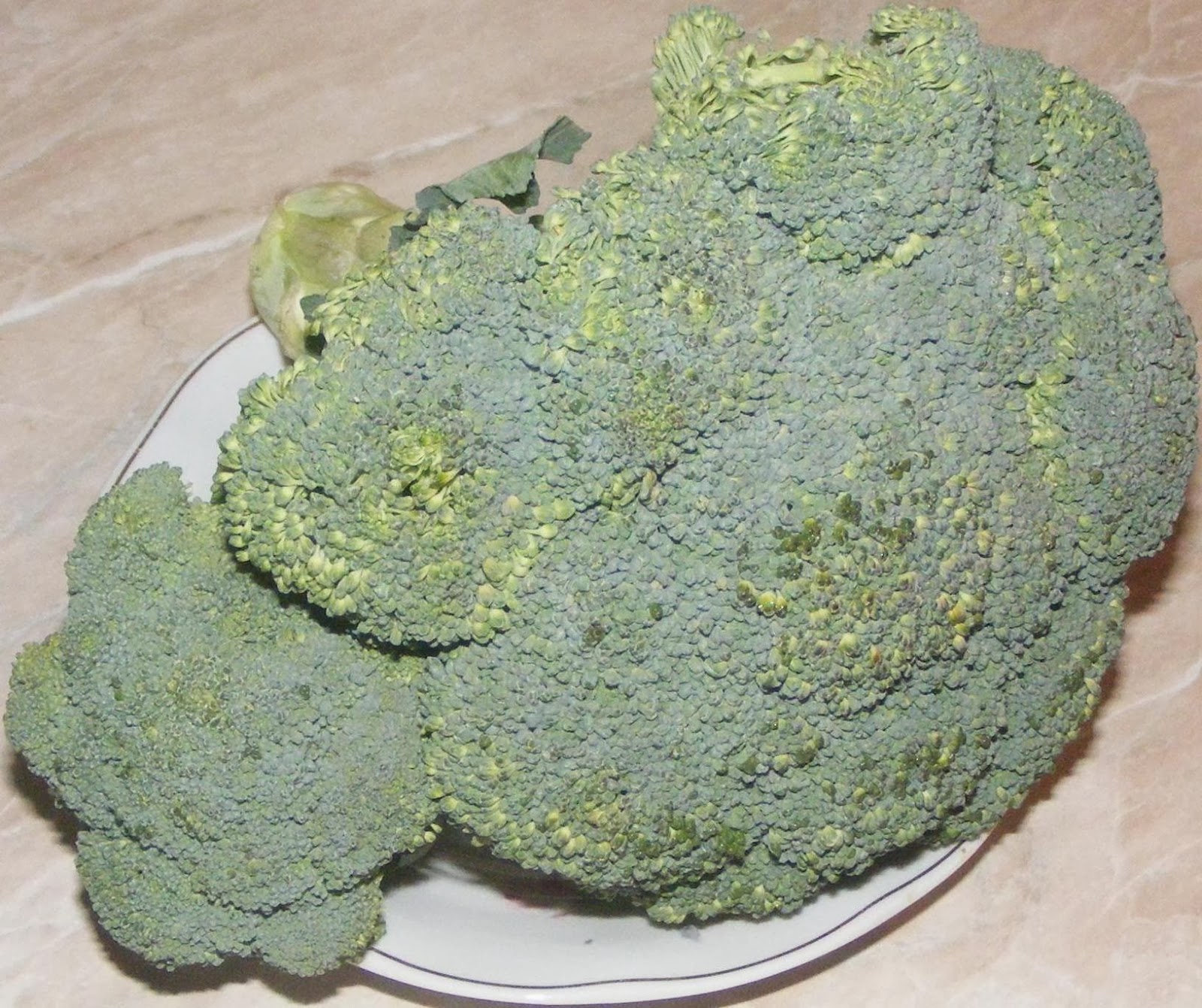 broccoli, brocoli, retete broccoli, broccoli retete, retete culinare, retete dietetice, retete de slabit, diete de slabit, retete sanatoase,
