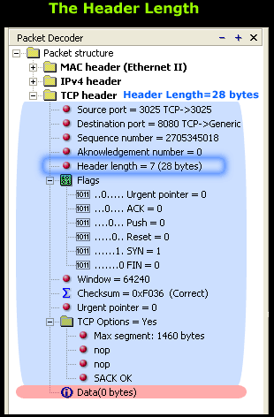 Something I know...: TCP Header Lenght Analysis