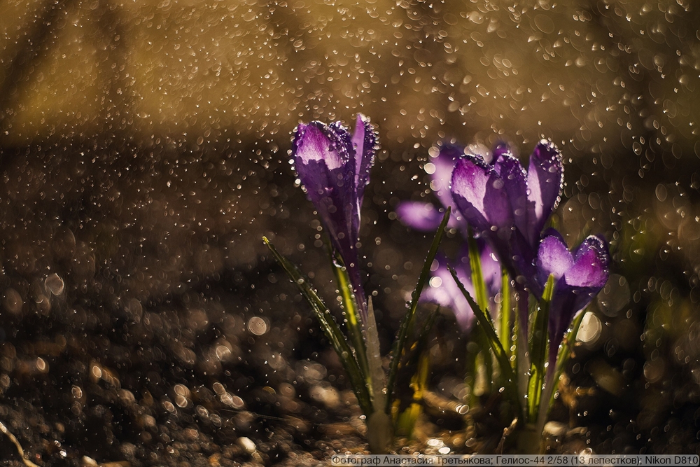 Гелиос-44 2/58