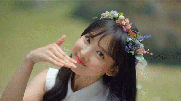 트와이스 네이처 컬렉션 움짤 & CF | 인스티즈