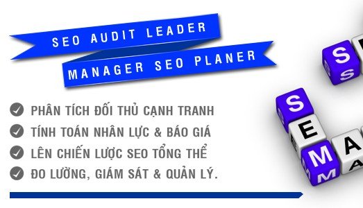 Kế hoạch trở thành SEOer Leader trong 1 năm