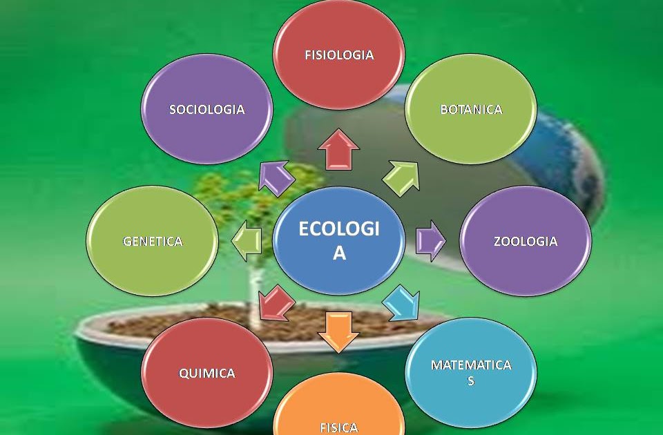 Principales Conceptos De Ecologia Images
