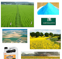 Agricultural Chemicals Stocks