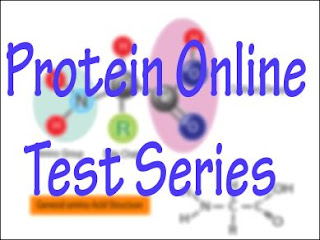 Protein Online Test Series