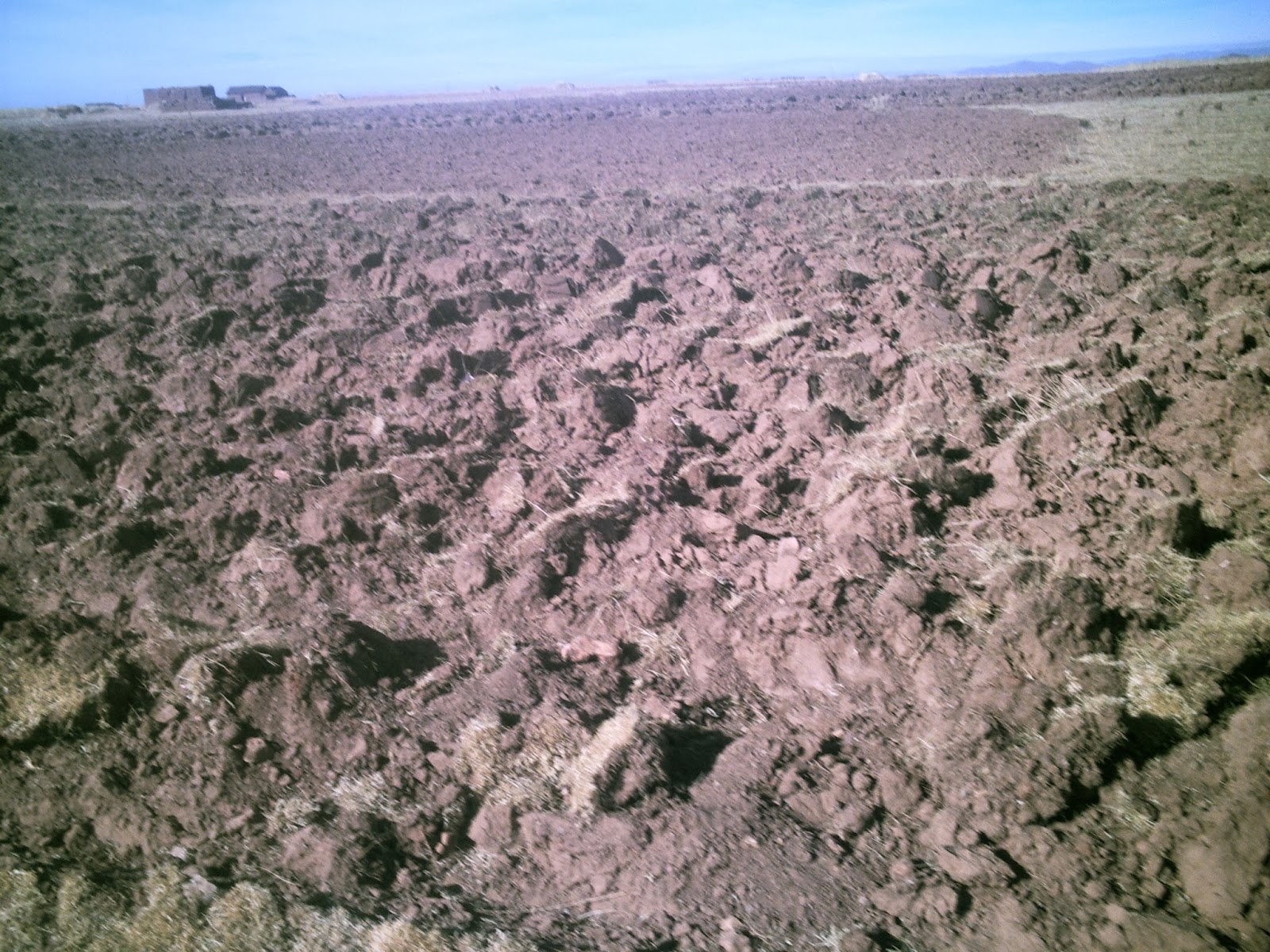 ILLA TALLERES Distrito de Caminaca Azángaro