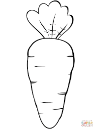 Carrot coloring page 1