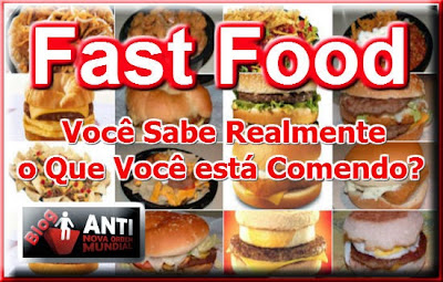 https://anovaordemmundial.com/2013/12/fast-food-voce-sabe-realmente-o-que.html