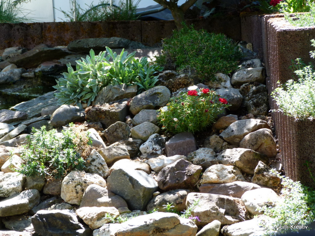Das Leben Ist Eine Leinwand Jeden Tag Kommt Ein Neuer