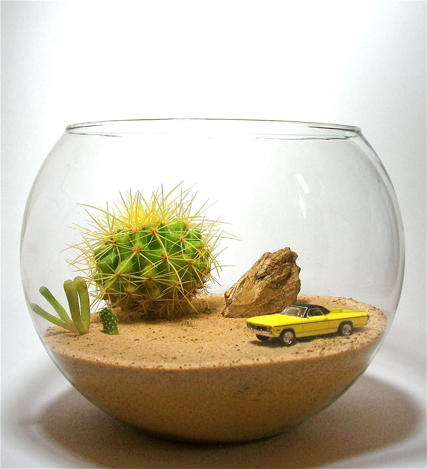 60-gallon-terrarium-bearded-dragon-heating-lighting