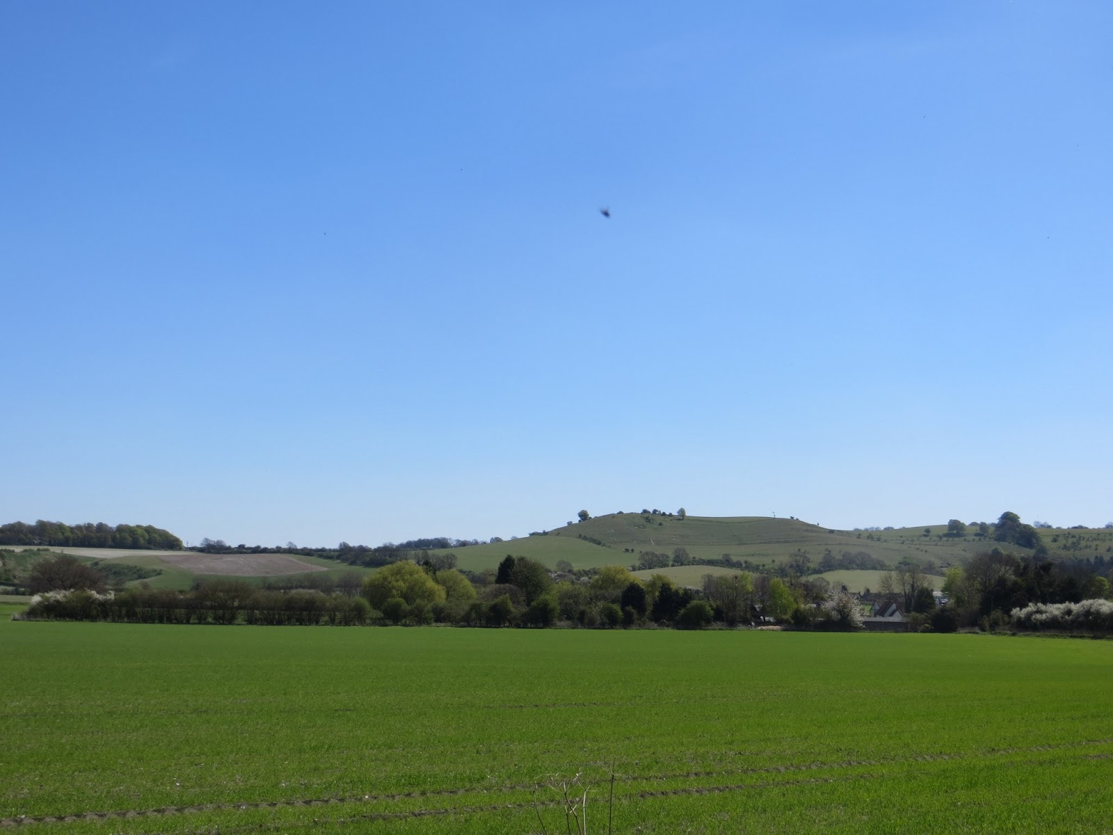 I Don't Do Hills 27 Barton Le Clay