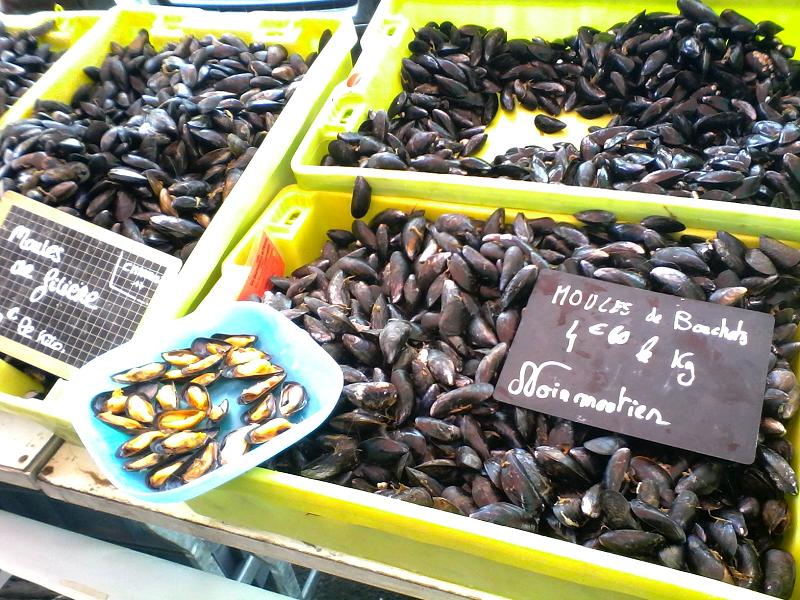 PHOTOS DE VENDEE Moules de Noirmoutier