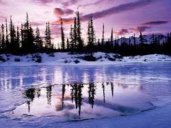 desktop winter backgrounds wallpapers quality hd background watching season