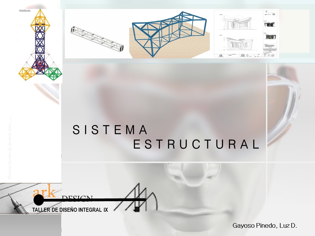 UNIVERSIDAD DE HUÁNUCO Taller de las Américas 2011_ II SISTEMA ESTRUCTURAL