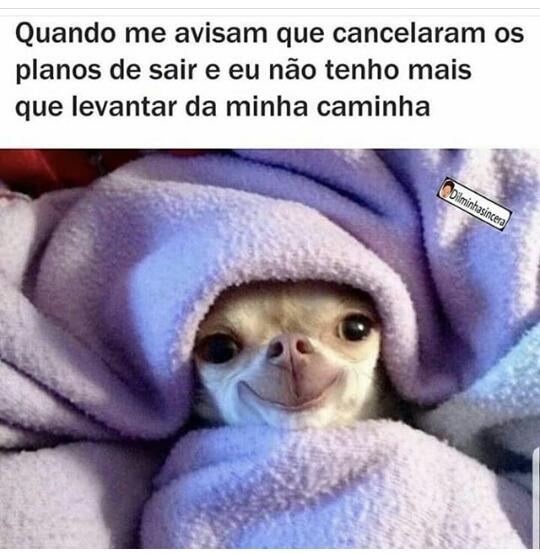 memes+engra%25C3%25A7ados+%252811%2529.j