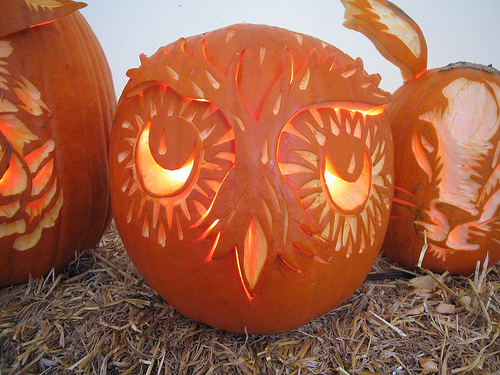 My Owl Barn: Collection: Owl Carved Pumpkins