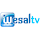 logo Wesal TV