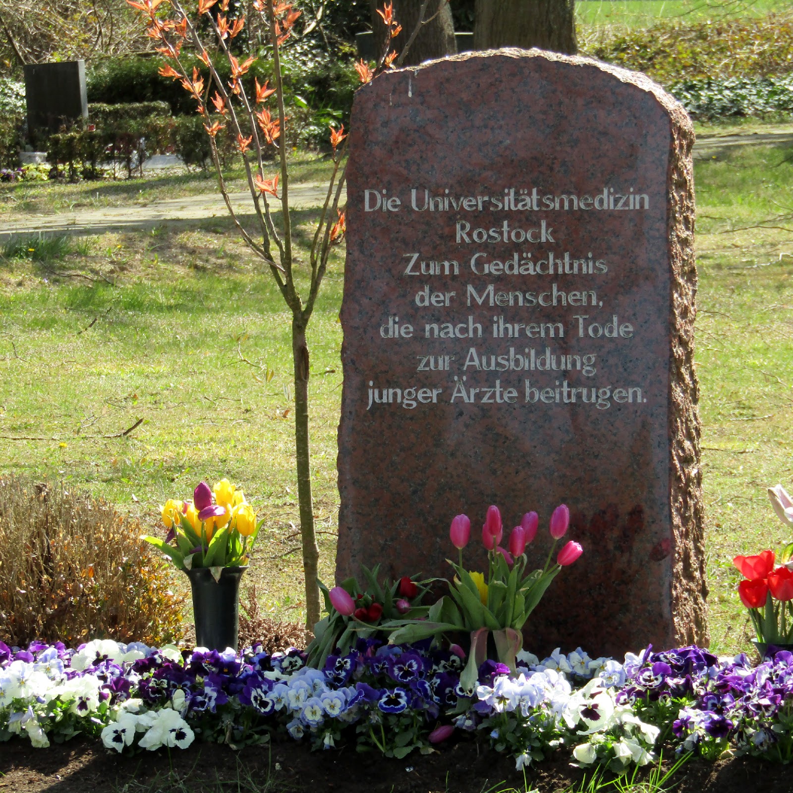 Channel 666 Neuer Friedhof Kuhlungsborn