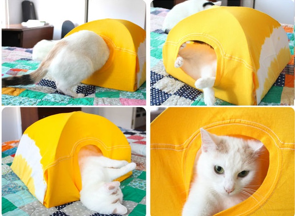 Cara Kreatif Membuat Tempat Tidur Kucing Berbentuk Tenda yang Murah Meriah Cara Kreatif Membuat Tempat Tidur Kucing Berbentuk Tenda yang Murah Meriah