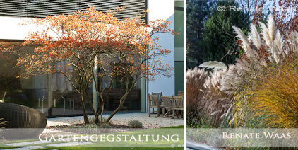 Gartenblog zu Gartenplanung, Gartendesign und Gartengestaltung ... Gartenblog zu Gartenplanung, Gartendesign und Gartengestaltung ...