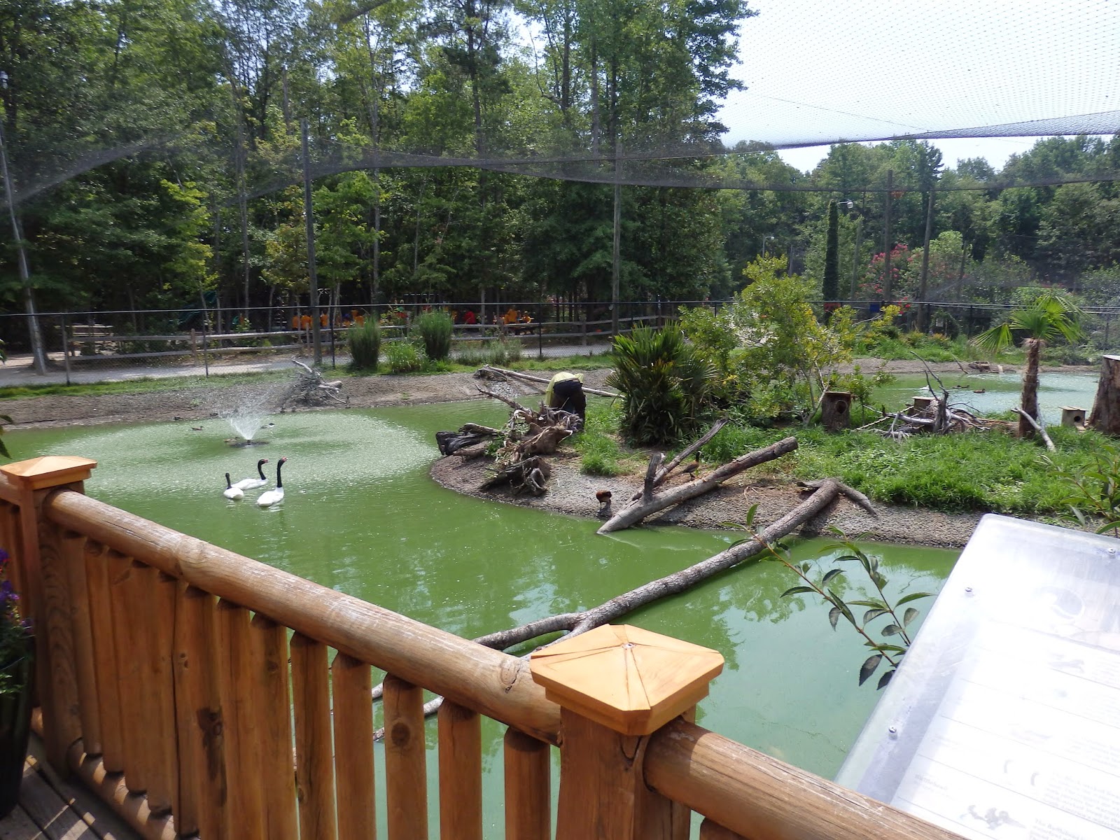 2 On the Road Sylvan Heights Bird Park Scotland Neck, NC