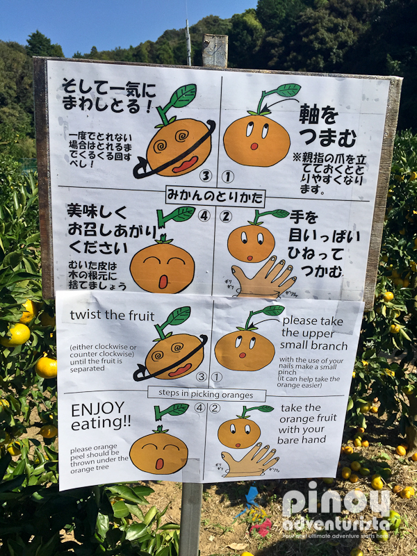 Gamagori Orange Park Japan