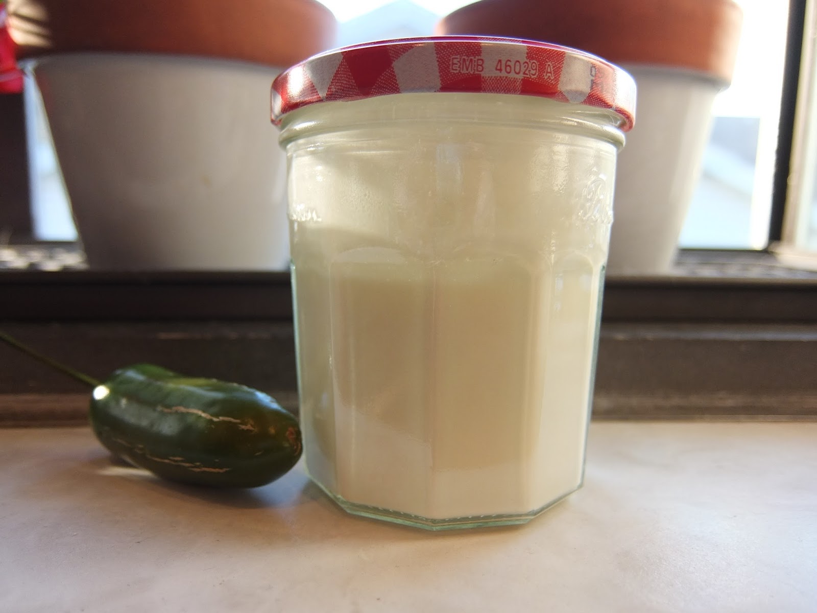 Dinner Night Sour Cream, Creme Fraiche, and Mexican Crema