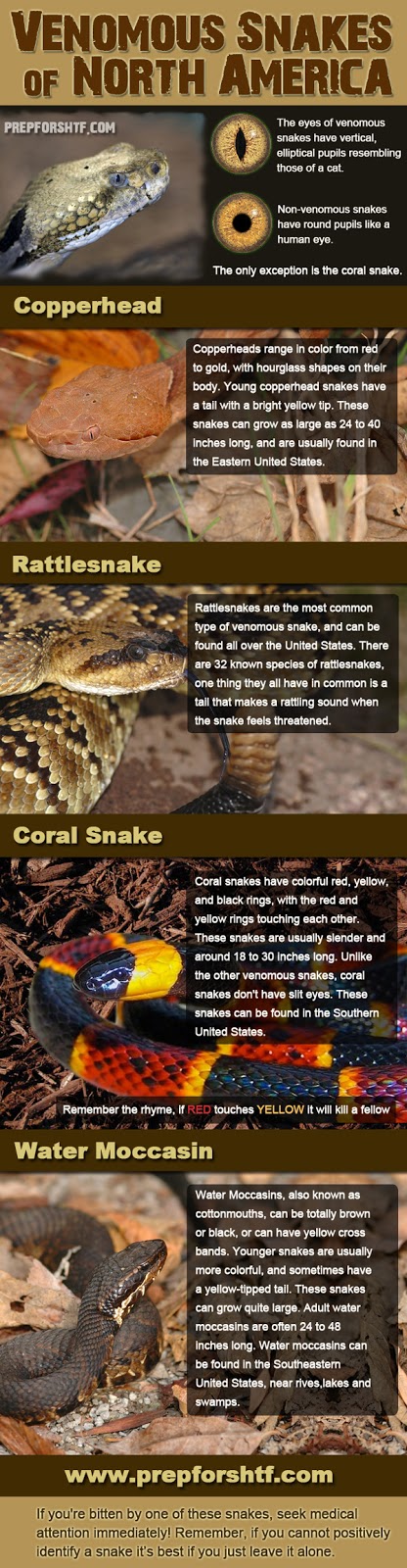 Survival Smarts: Venomous Snakes of North America Infographic