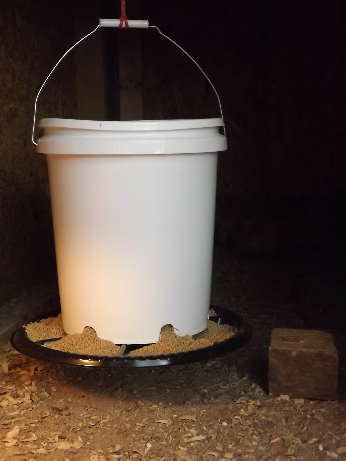 God is good ! Homemade chicken feeder )