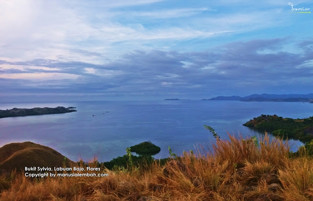 Bukit Sylvia Labuan Bajo