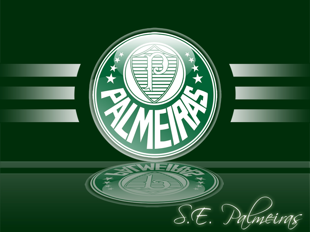Papel De Parede Do Palmeiras 3d