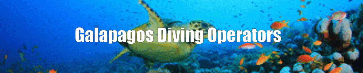 Scuba Diving Galapagos Tours | Galapagos Diving Operators | Liveaboard