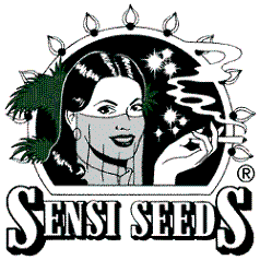 SENSI SEEDS FEMINIZADAS