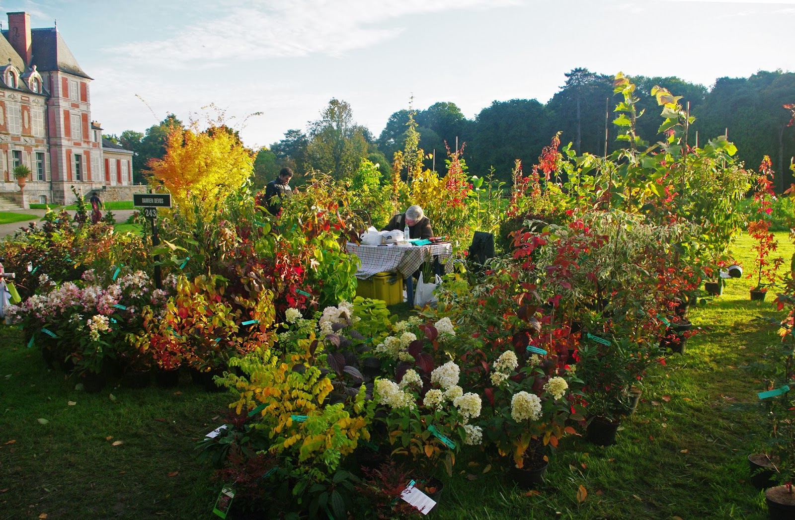 LA BLOGAZETTE DES ULIS et du HUREPOIX...: LES JOURNEES DES PLANTES DE