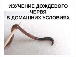 презентация к докладу презентация к докладу