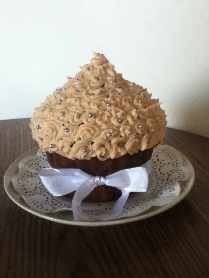 KNIT AND MAKE Mary Berry Giant Spiced Christmas Cupcake knit-and-make-mary-berry-giant-spiced-christmas-cupcake