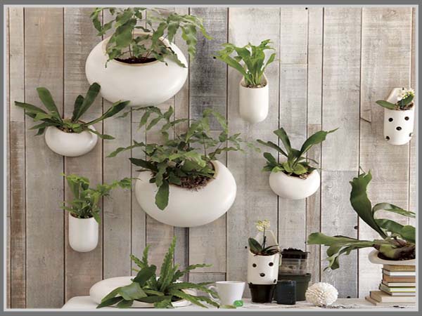 32 Desain Unik dan Kreatif Pot Tanaman Hias di Taman ...