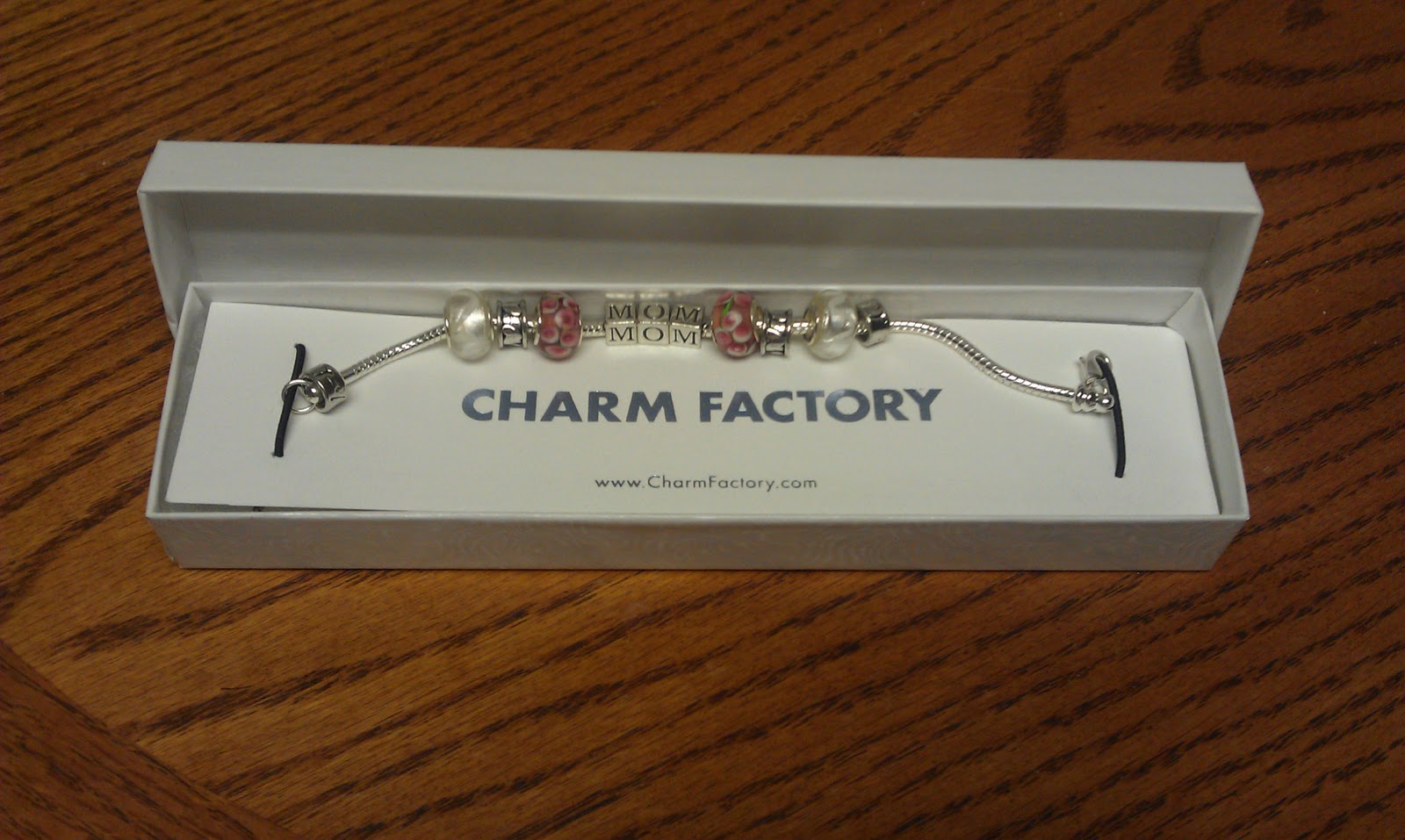 DD's Daily Dose Charm Factory Review & Giveaway