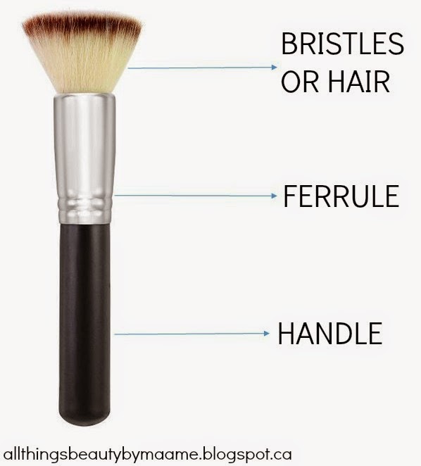 Types Of Makeup Brushes Hair Saubhaya Makeup