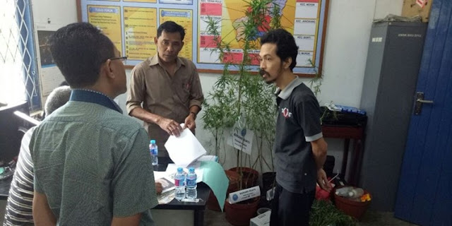 Badan Narkotika Nasional (BNN) mengetahui kepemilikan ganja, dan BNN langsung membawa Fidel untuk ditahan selama 32 hari Badan Narkotika Nasional (BNN) mengetahui kepemilikan ganja, dan BNN langsung membawa Fidel untuk ditahan selama 32 hari