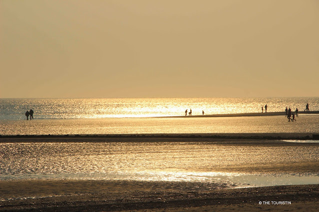 People walking in the golden light of sunset through the UNESCO heritage listed Wadden sea.