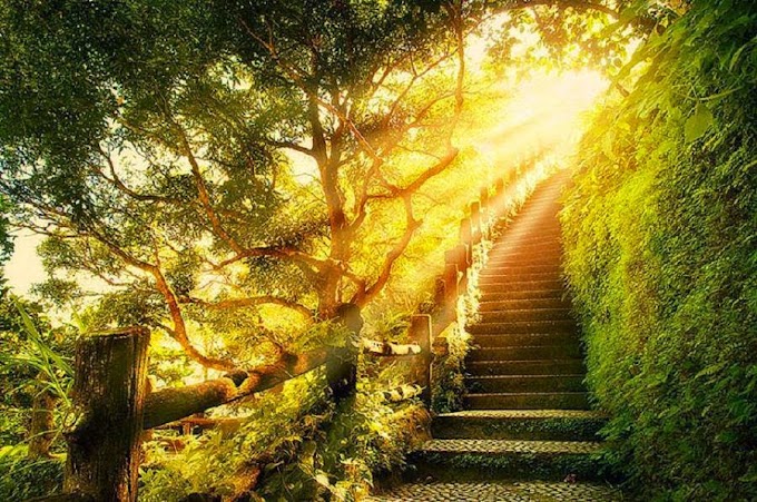 5 Formas de Recorrer el Camino de la Luz: Tu Guía Rápida Espiritual