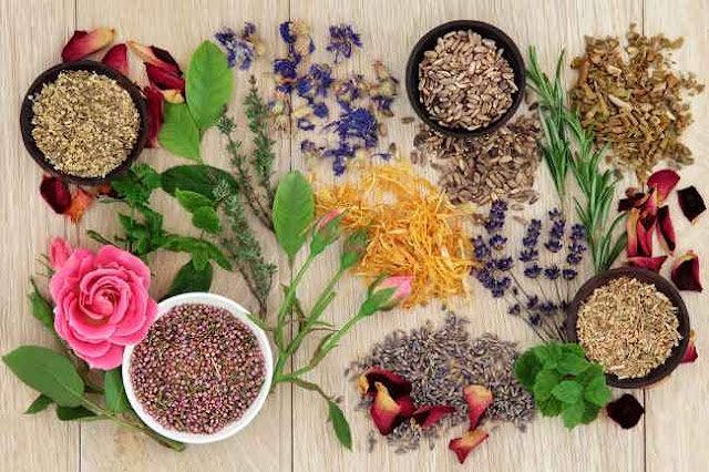 Herbologi: Penyembuhan dengan Tanaman Herbal