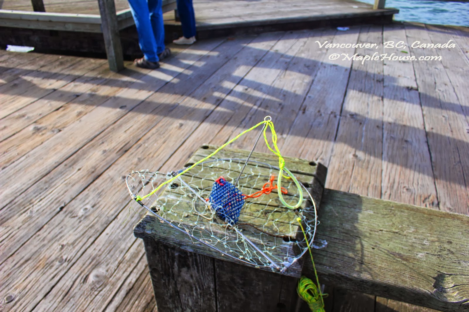 Living Vancouver Canada Fishing for Dungeness Crab at Jericho Beach