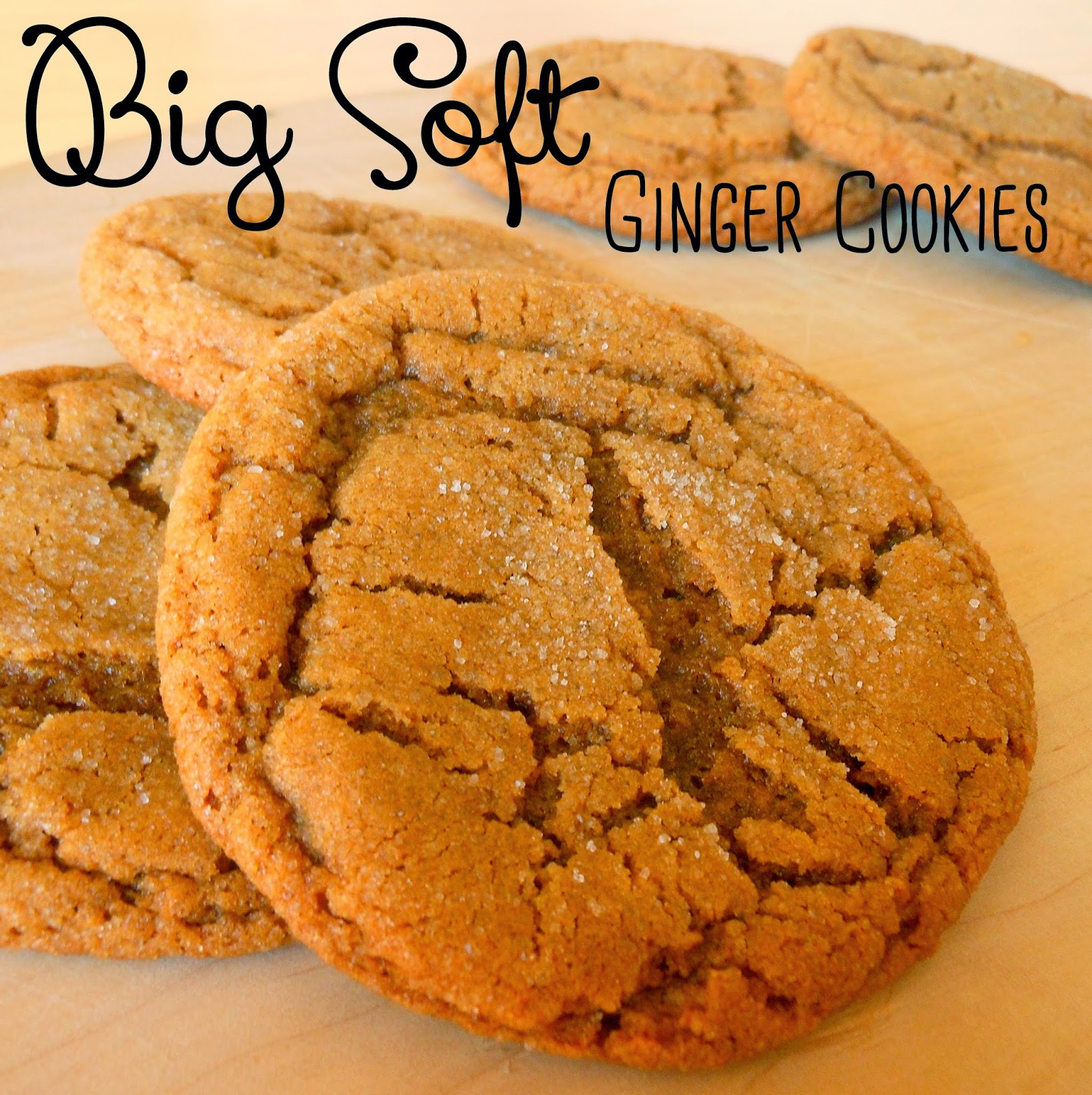 Sunny Days With My Loves - Adventures in Homemaking: Big Soft Ginger ...